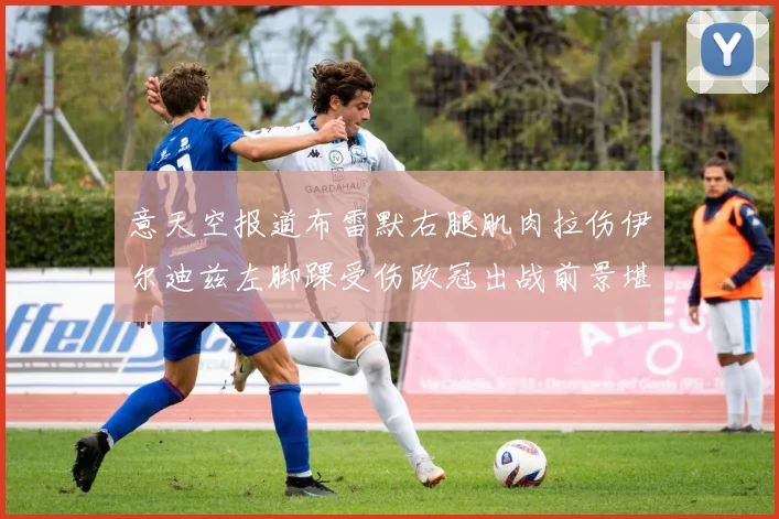 意天空报道布雷默右腿肌肉拉伤伊尔迪兹左脚踝受伤欧冠出战前景堪忧